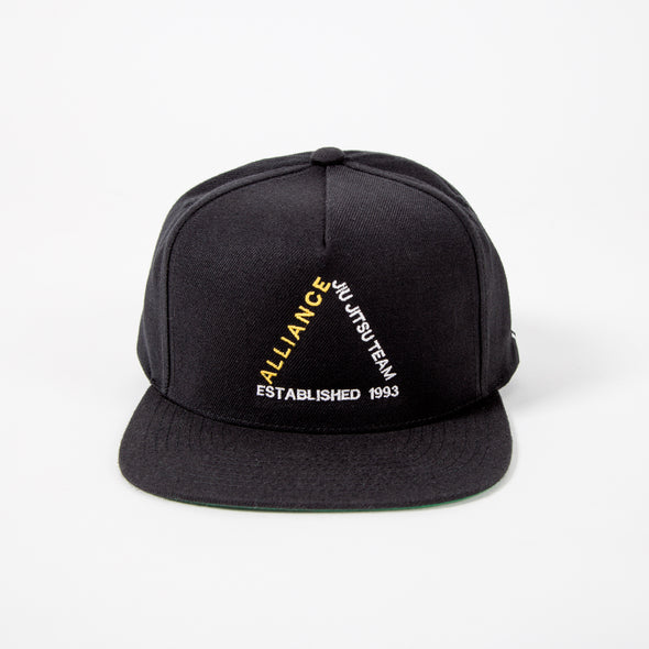 Est. 1993 Snapback Hat